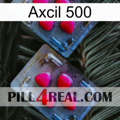 Axcil 500 14